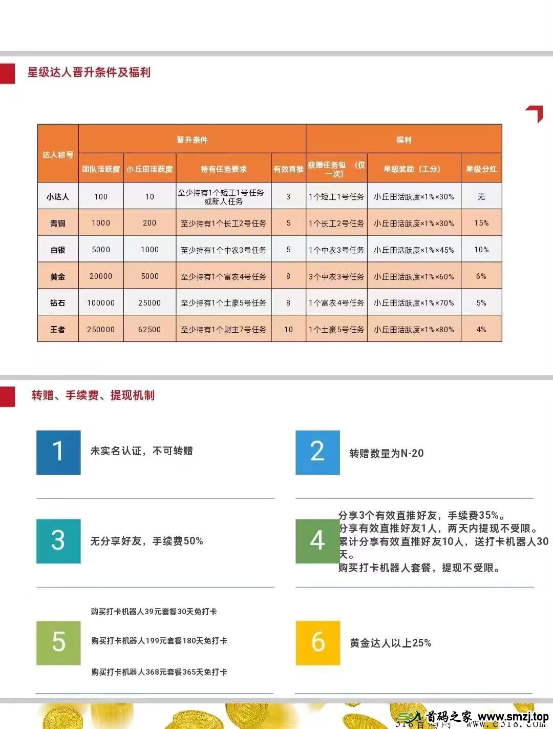 凤凰潮实体零撸项目，长久稳定，做团队赚到爆单