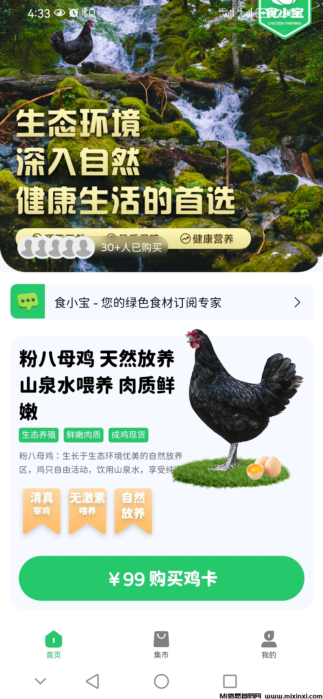 首码食小宝养鸡合作社刚上线对接大小团长